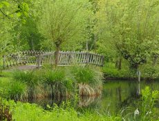 Hoge-brug