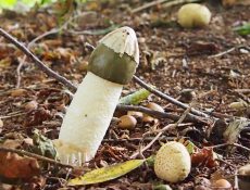 15404324059_56952cb796_k