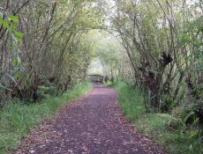 16686341138_6f68d9297c_k