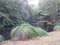 16686576170_093c4b31b4_k