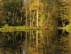 16686997210_e01f323c3c_k