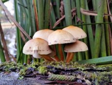 16874390885_21a6f6ce34_k