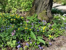 17232785411_75a914903a_k