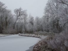 bosbespad_hoog