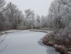 bosbespad_thijssepark