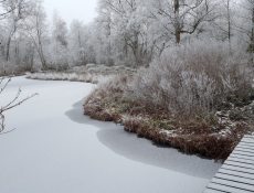 bosbespad_winter
