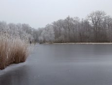 de_braak_grotevijver1