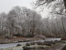 deheuvel_rechts
