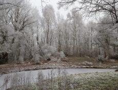 deheuvel_thijssepark