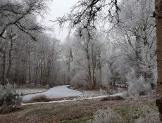 deheuvel_thijssepark3