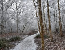 heidepad_thijssepark_winterbeeld