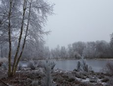 heteiland_debraak