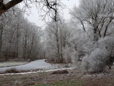 heuvel_thijssepark2