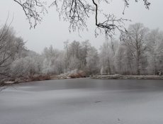 hogebrug_thijssepark