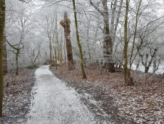 hoofdingang_thijssepark_winter