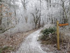 klokjespad_winter2