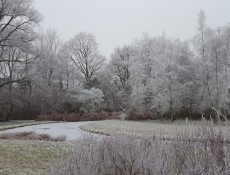 koos_landwehrpark_winter1