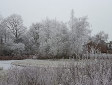 koos_landwehrpark_winter2