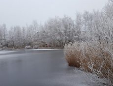 kwekerijpad
