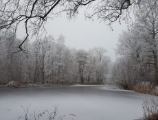 margrietenpad_winter
