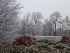 veenbespad_grotevijver
