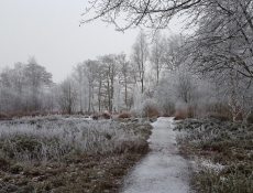 veenbespad_thijssepark
