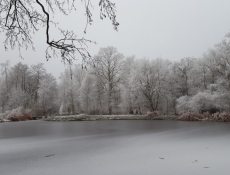 winter_hogebrug