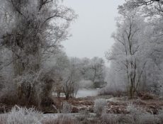 winter_thijssepark